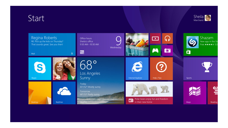 Windows 8.1